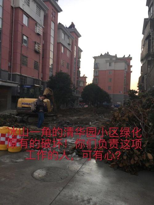 广州小区问题爆料最新,物业管理乱象频发，居民生活陷入困境